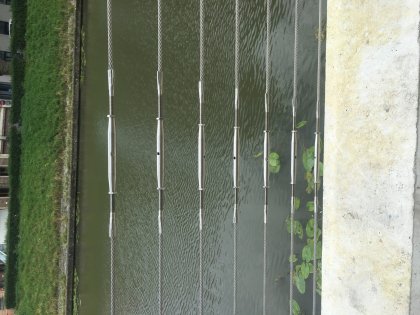 Stalen leuningen rozemarijn brug te Gent 